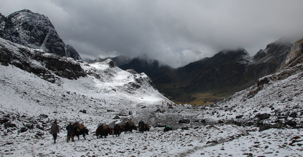 Snowman Trek- One of the Famous Trekking in the World.